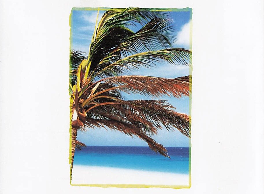 Wilmer E. Ishee, Sr. — photo 6