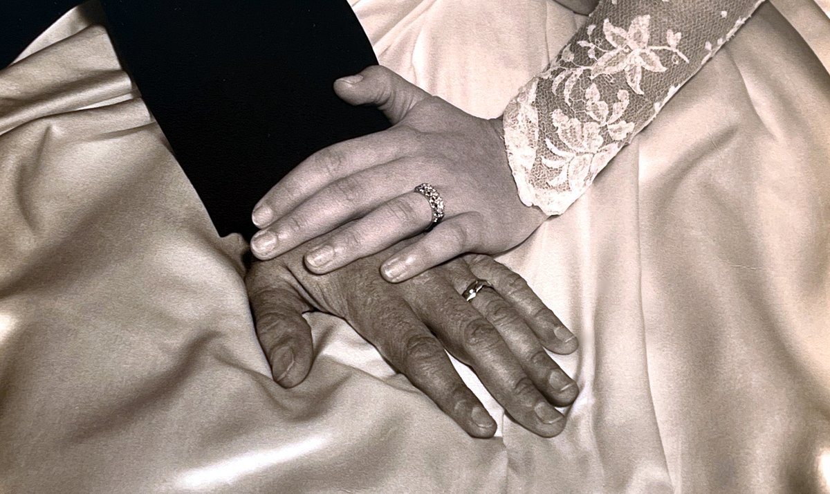 Peter Tomasello, Jr. — photo 11