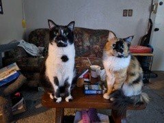 Raymond Lee Wactor — photo 6