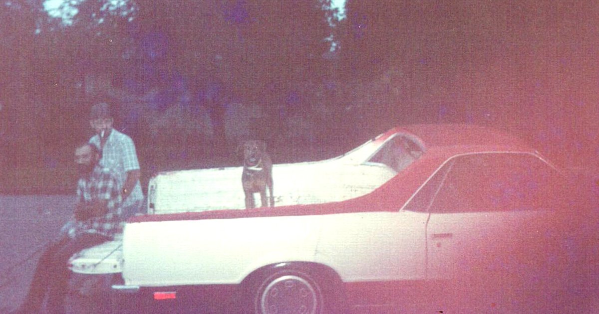 Raymond Lee Wactor — photo 7